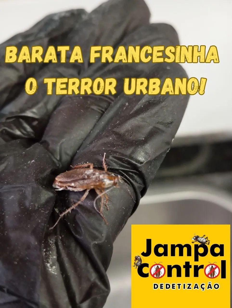 Dedetização de baratas francesinhas