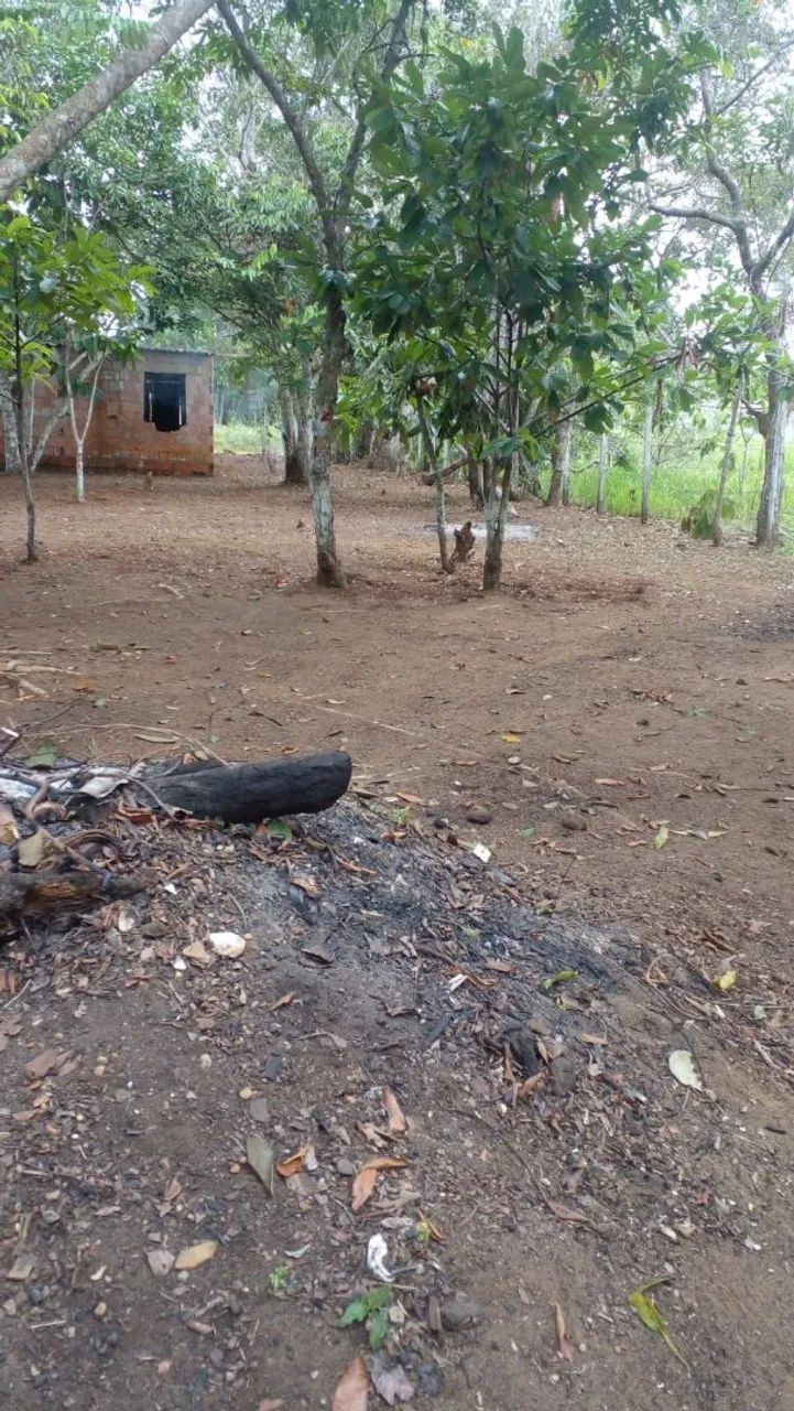 Lote com 800 m2 em Açutuba  - Foto 2