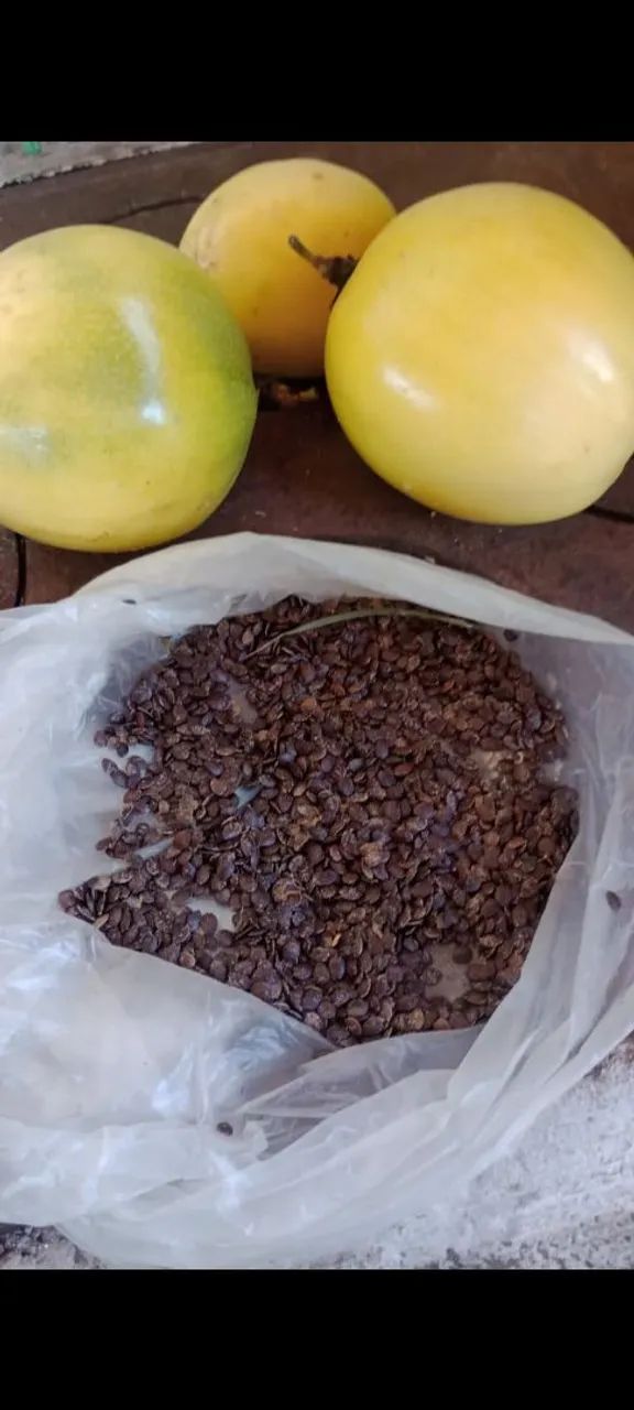 Sementes de maracujá para plantio ( alta produtividade)