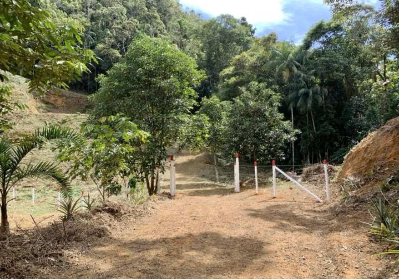 Oportunidade! Sítio Recanto da Cachoeira, um Paraíso. - Foto 8