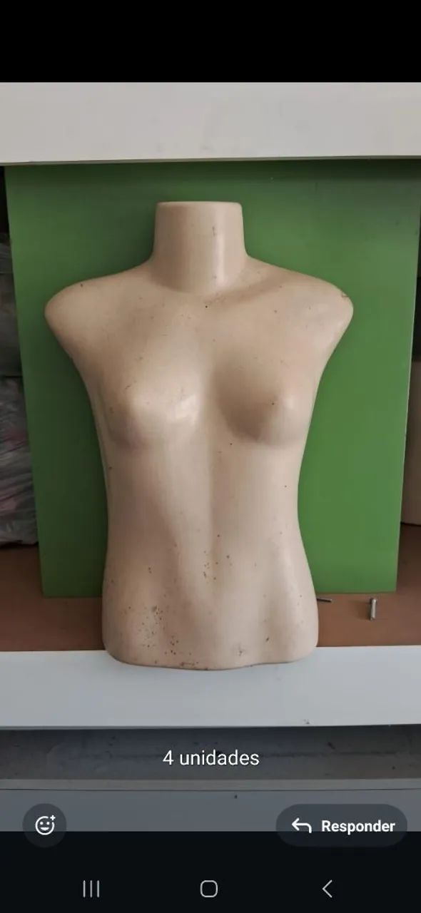 Mannequin Torso Feminino para Bijuterias e tabuleiro 14 unidades bem novo da pra montar um