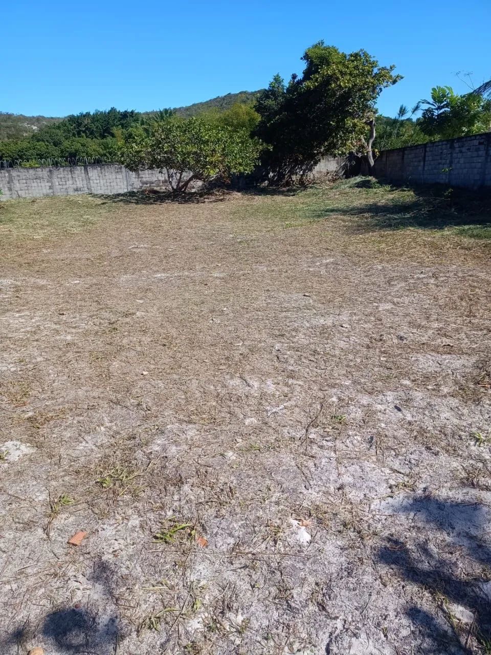 Terreno em Busca Vida - Foto 5