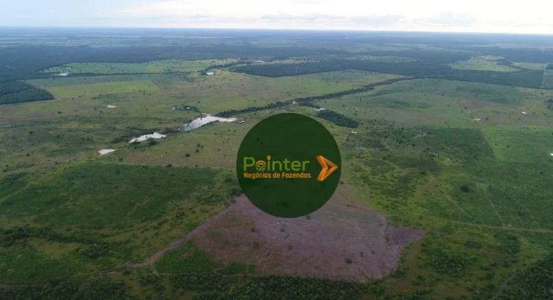 Fazenda à venda, por R$ 22.000.000 - Zona Rural - Duerê/TO - Foto 4