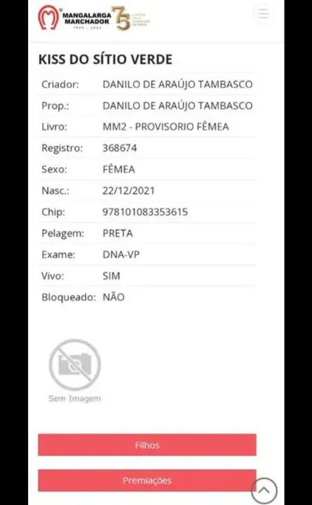 Potra registrada - Foto 2