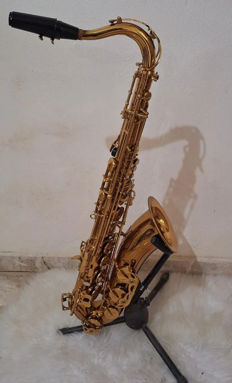 Saxofone Tenor Winner.