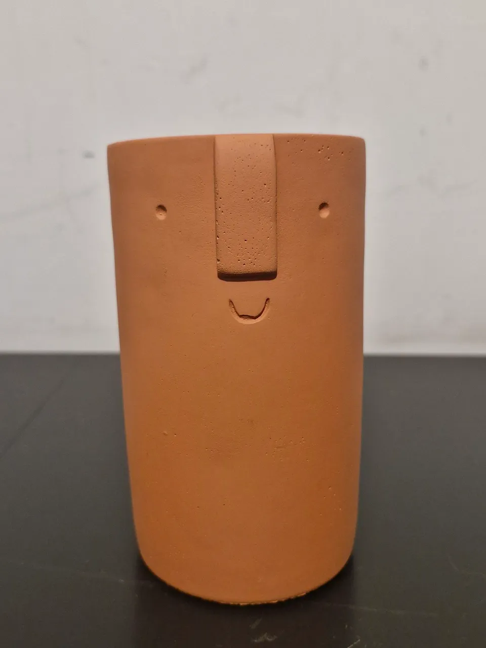 Vaso de Cerâmica com Design Diferenciado
