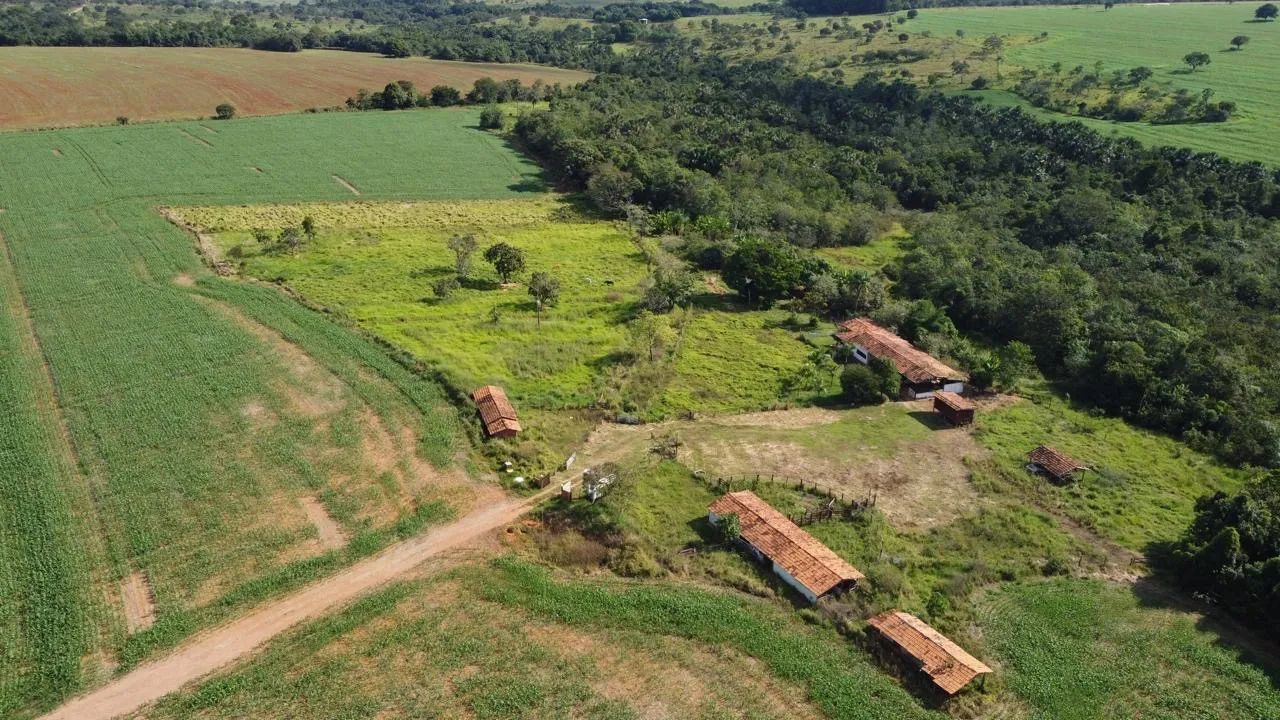 Fazenda município de catalão  - Foto 3