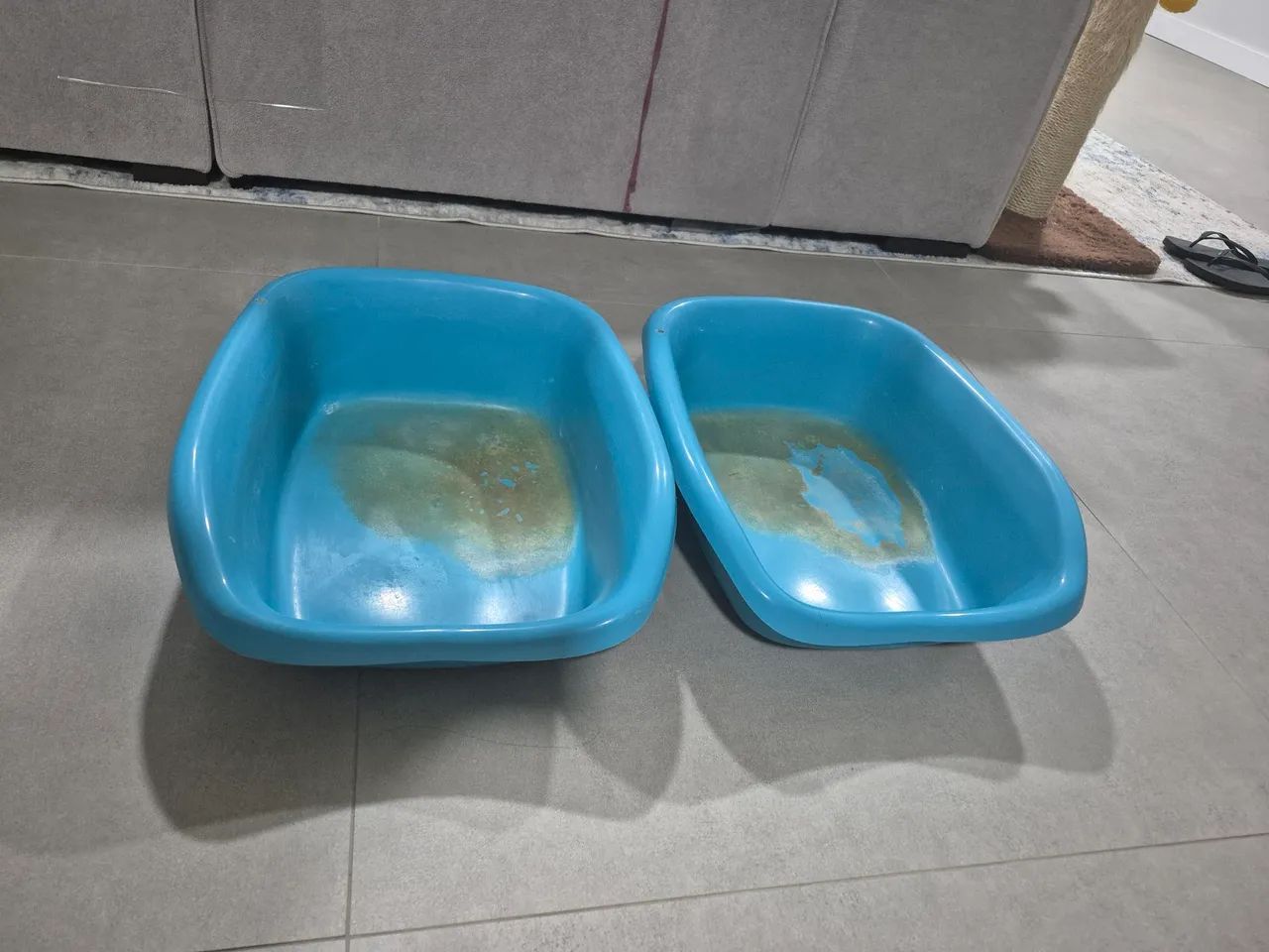 DOAÇÃO: 2 Caixas de Areia para Gatos64319322322689120