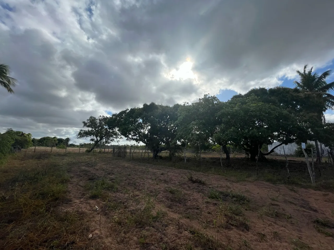 VENDO TERRENO 30X30