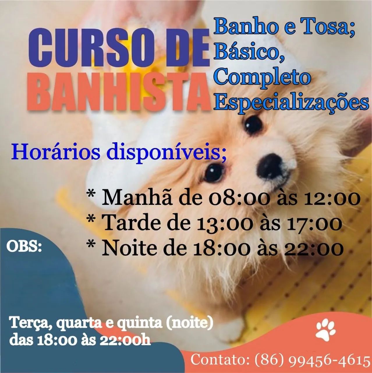 CURSO DE BANHO E TOSA PRESENCIAL VAGAS DISPONÍVEIS EM TERESINA PIAUÍ COM DIREITO A CERTIFI - Foto 3
