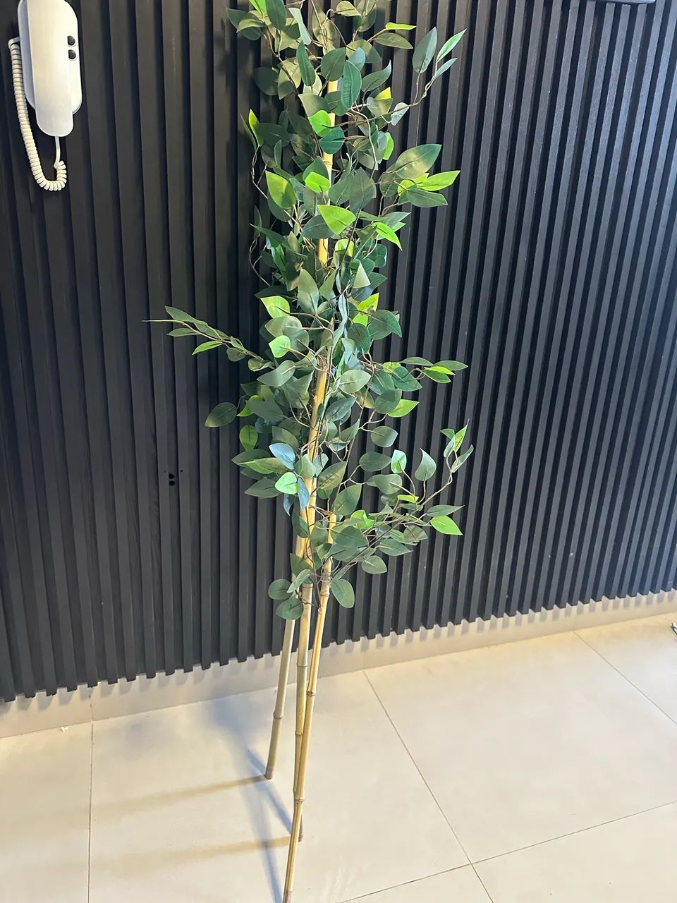 Bambu da Sorte - Foto 2