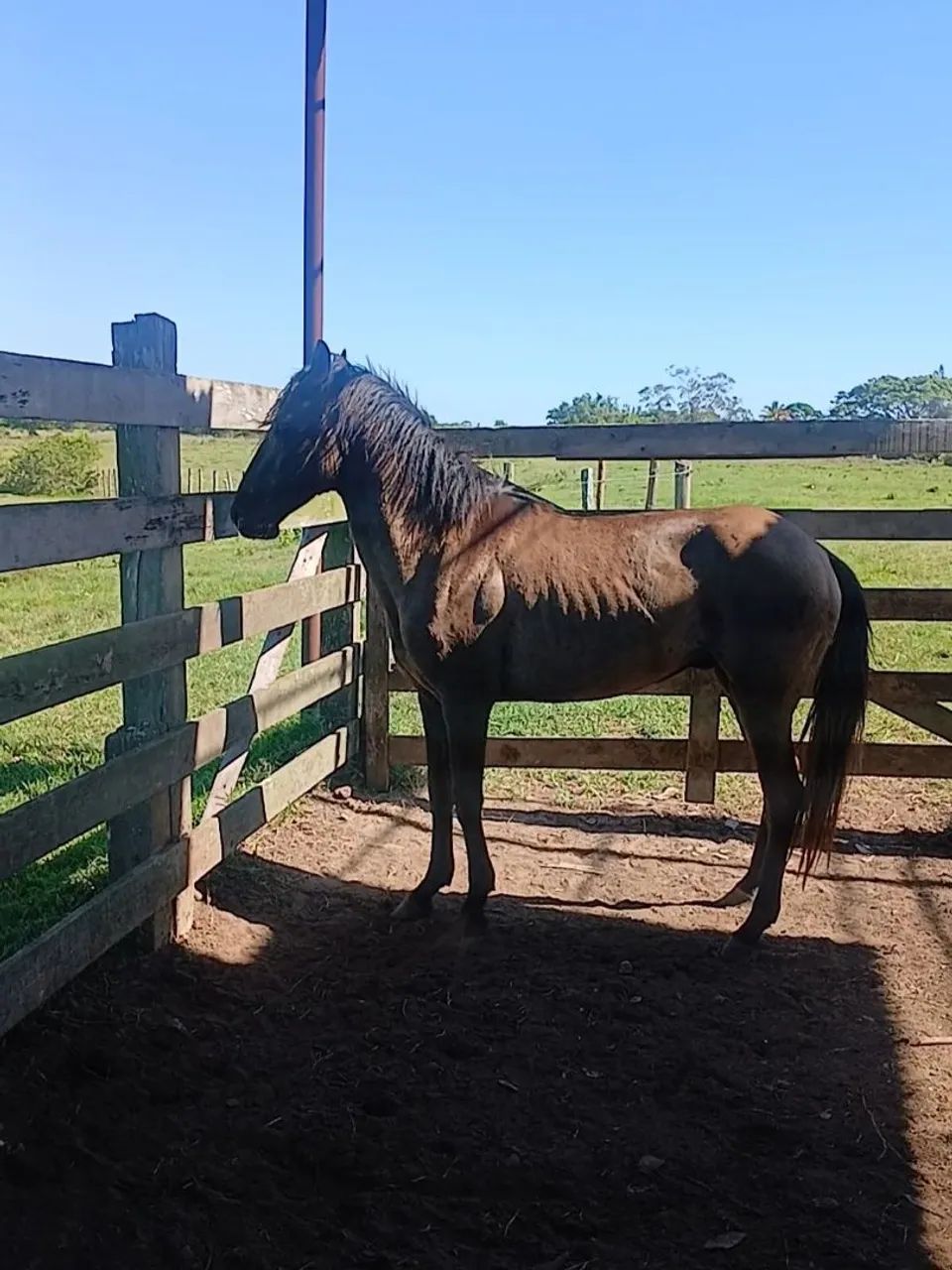 Vendo ou negocio pordo  - Foto 2
