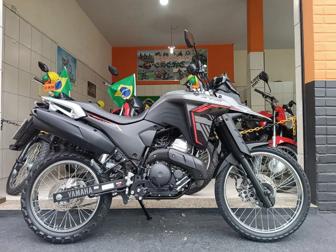 Lander 250 2025 cinza  - Foto 2
