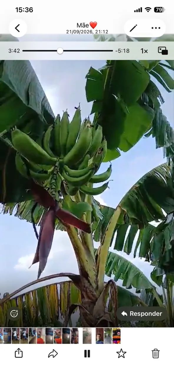 chácara a venda  - Foto 5