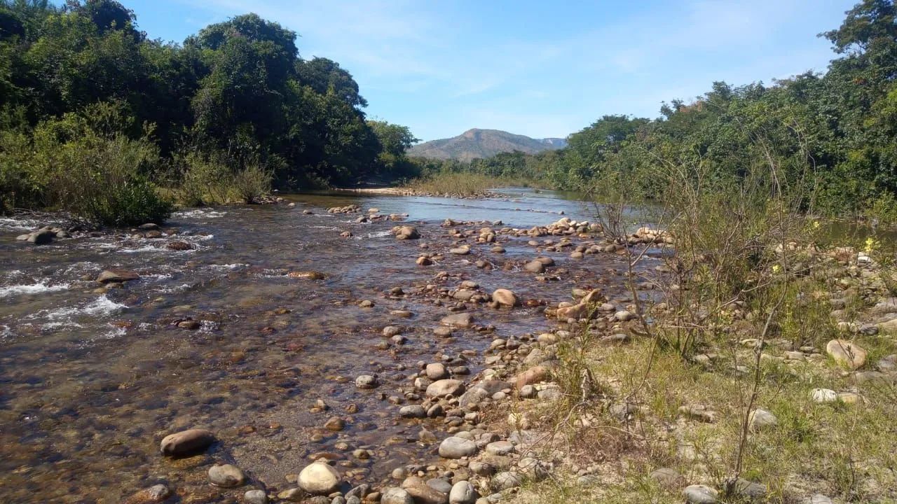 Fazenda de 325 alqueires entre Paranã To e Cavalcante - Foto 3