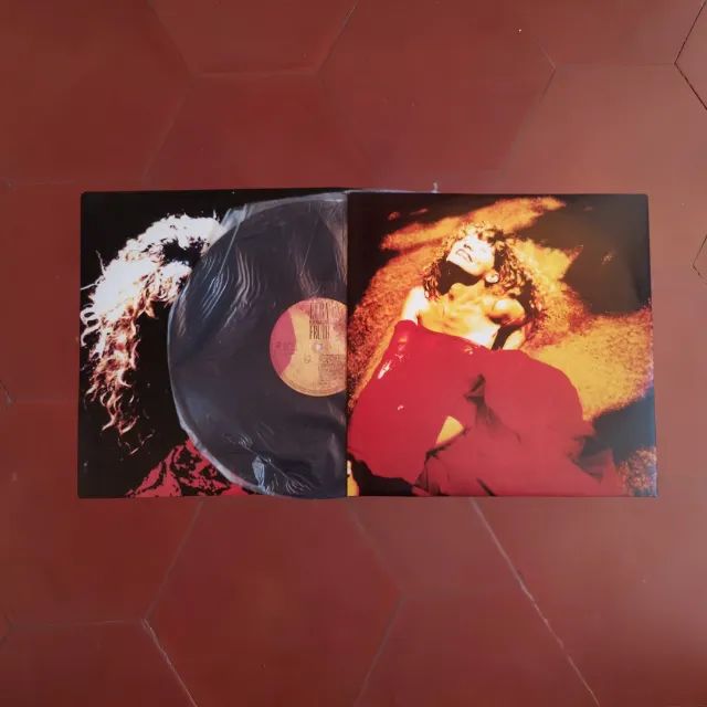 LP Vinil Elba Ramalho - Fruto - 1988 - Original - Foto 2