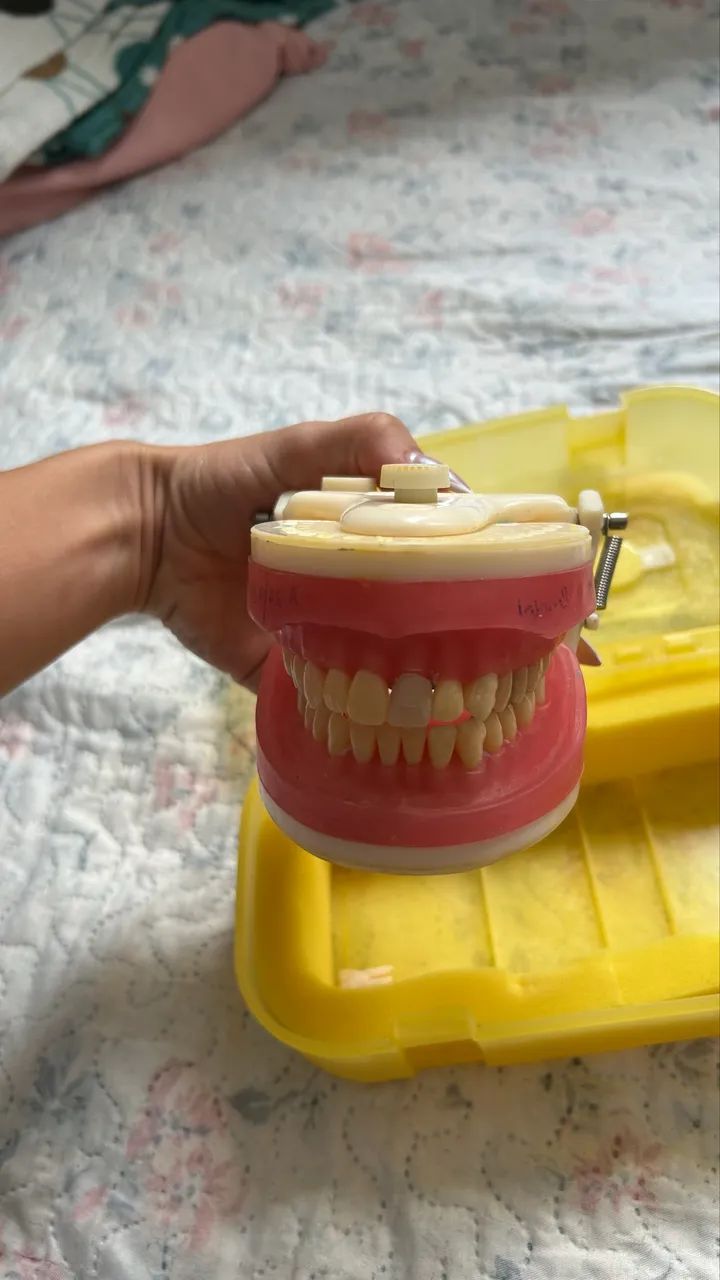 Manequim odontológico - Foto 4