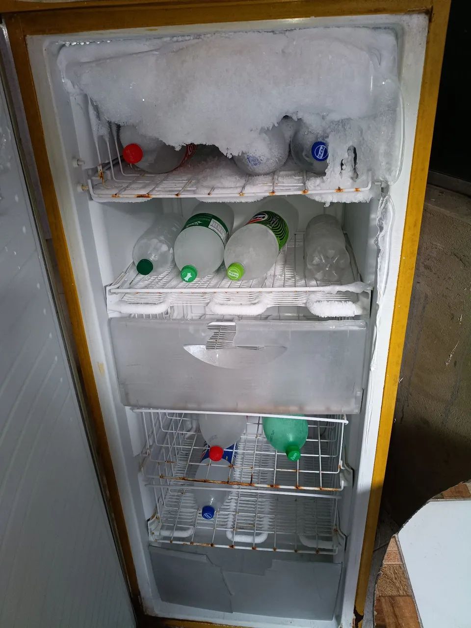 Frizzer  - Foto 3