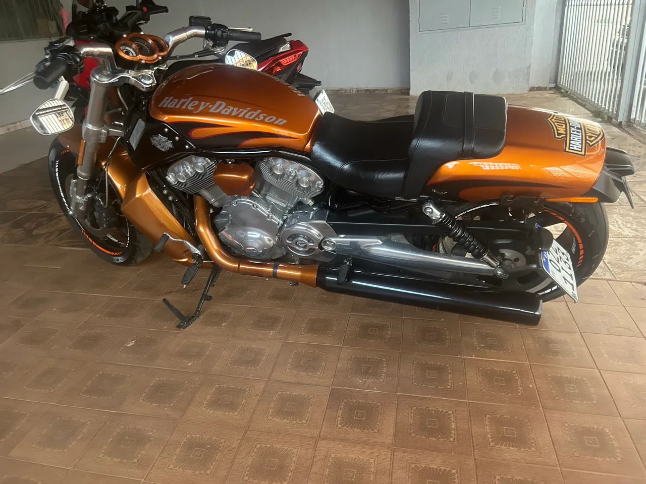 Harley-Davidson 1250cc Muscle Vrscf 2014 - 1486125722 | OLX