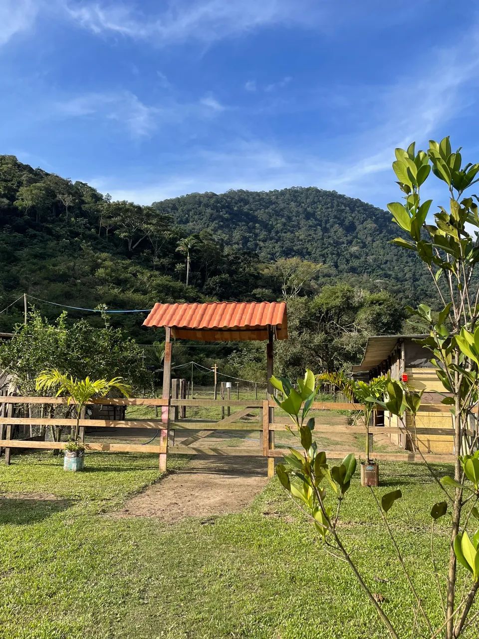 ? Rancho Completo com 35.000 m² - Foto 2