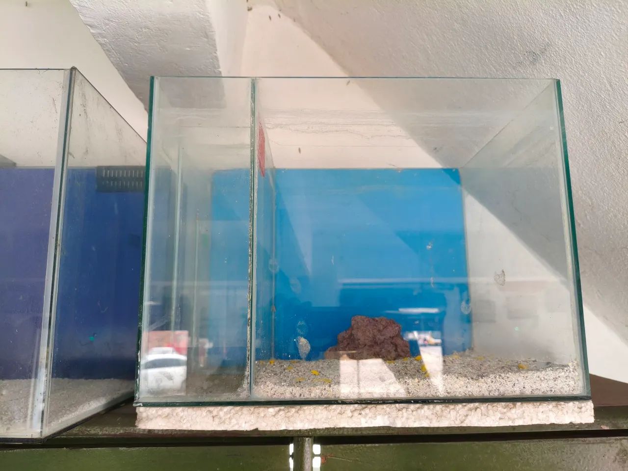 Temos vários modelos de aquários . - Foto 4