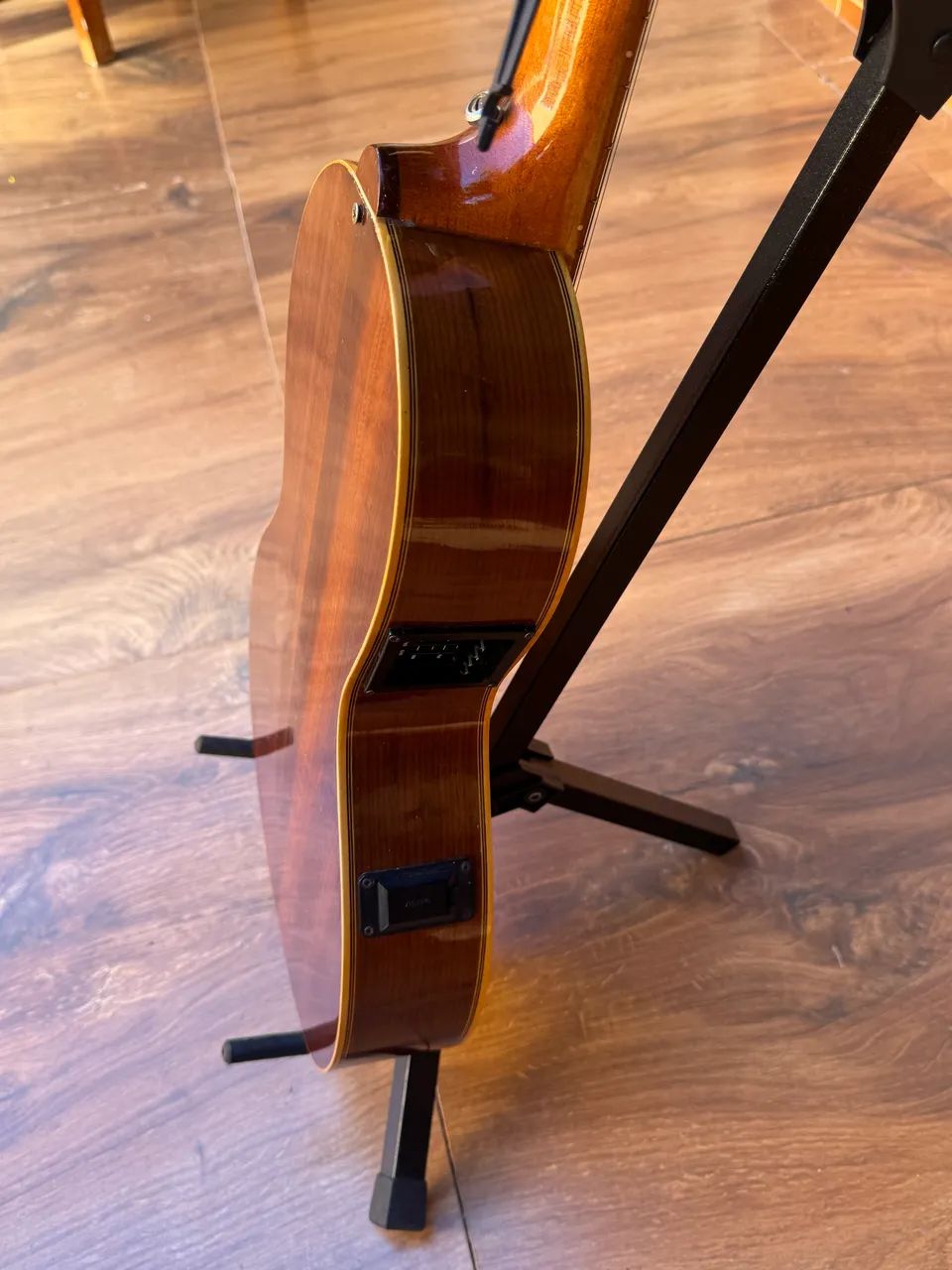 Viola Rosini - Foto 5