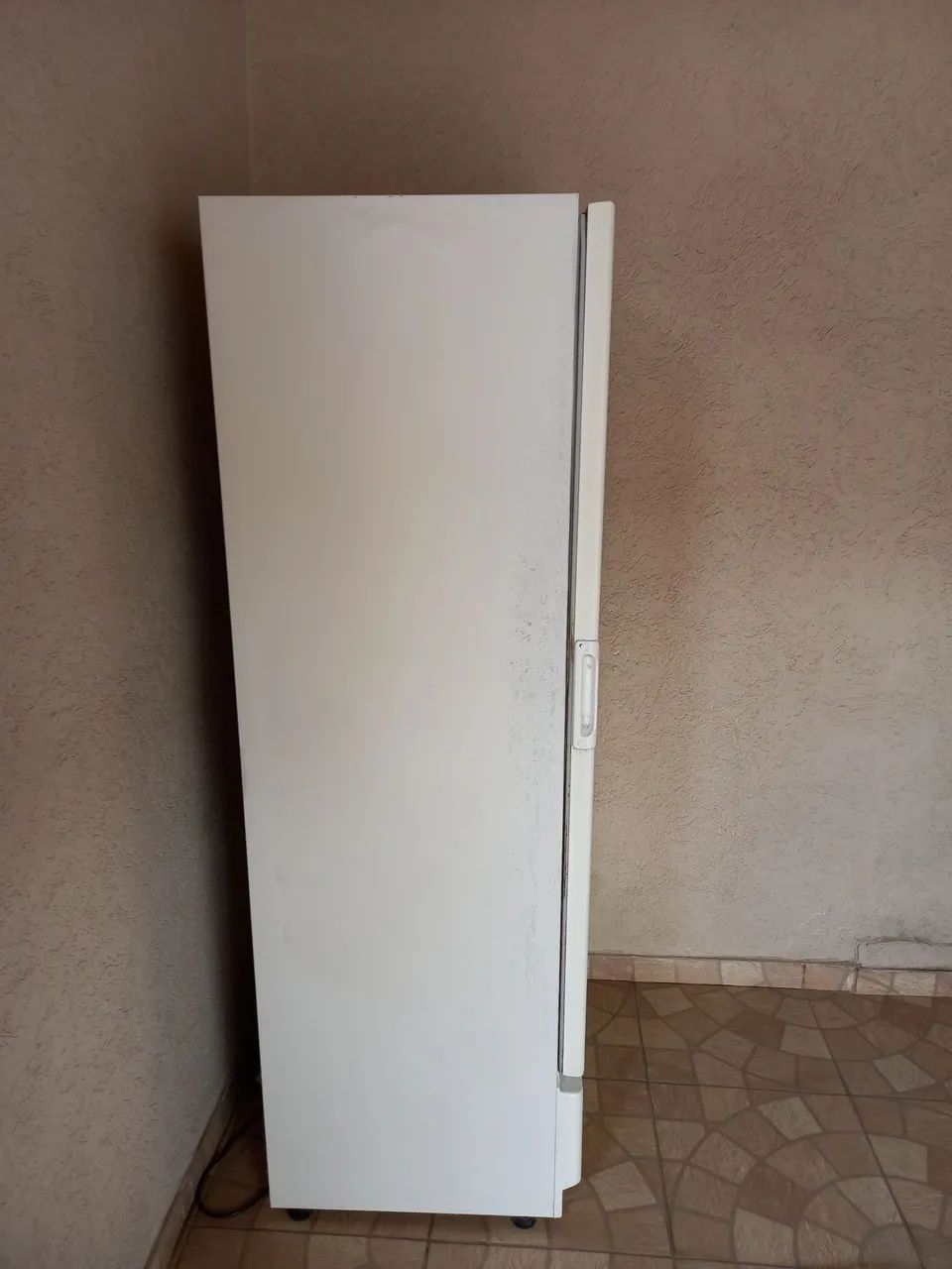 Expositora Gelopar - Foto 3