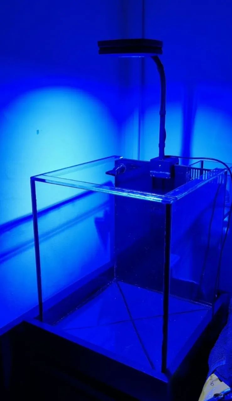 Nano + Sump + Móvel + Luminária AI Prime 16HD - Foto 5