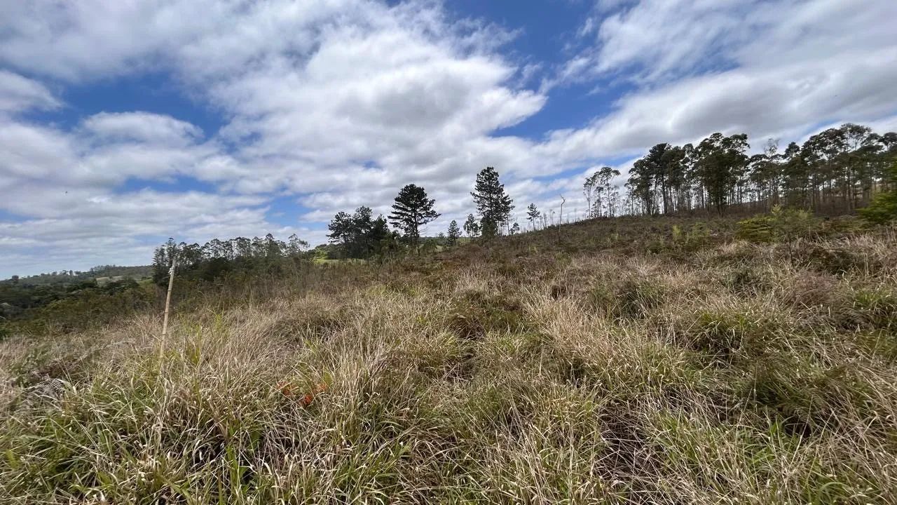 Terreno Rural para Venda em Salesópolis, Alegre - Foto 3