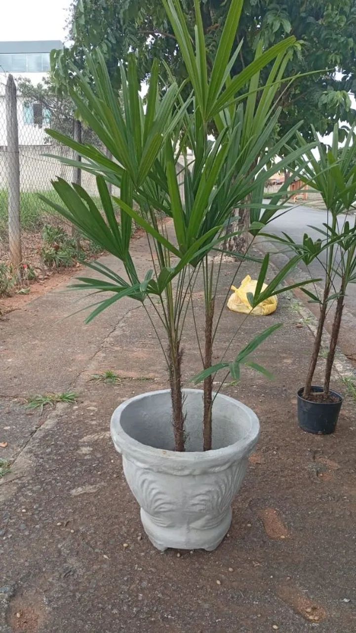 Vasos para plantas  - Foto 2