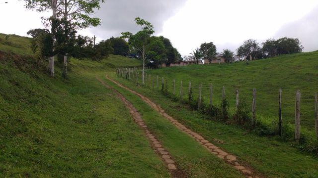 Fazenda Ilhéus Bahia/ Sul da Bahia - Foto 11