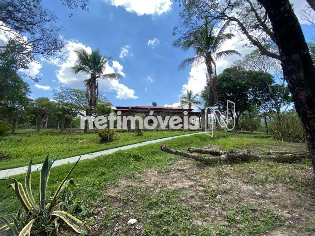 Venda Sítio Rural Nova União - Foto 4