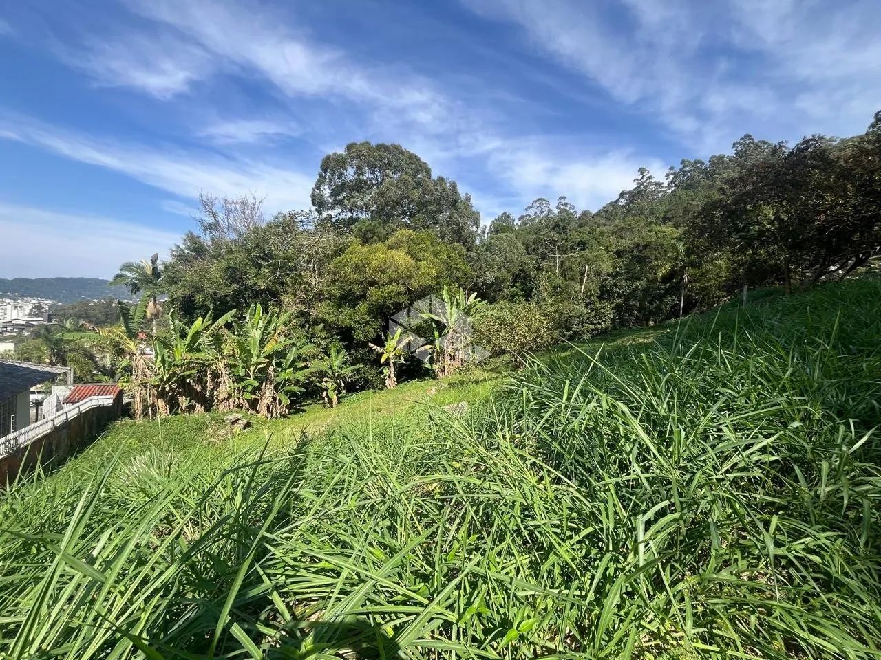 Terreno à Venda no Condomínio Trindade em Florianópolis - Foto 4