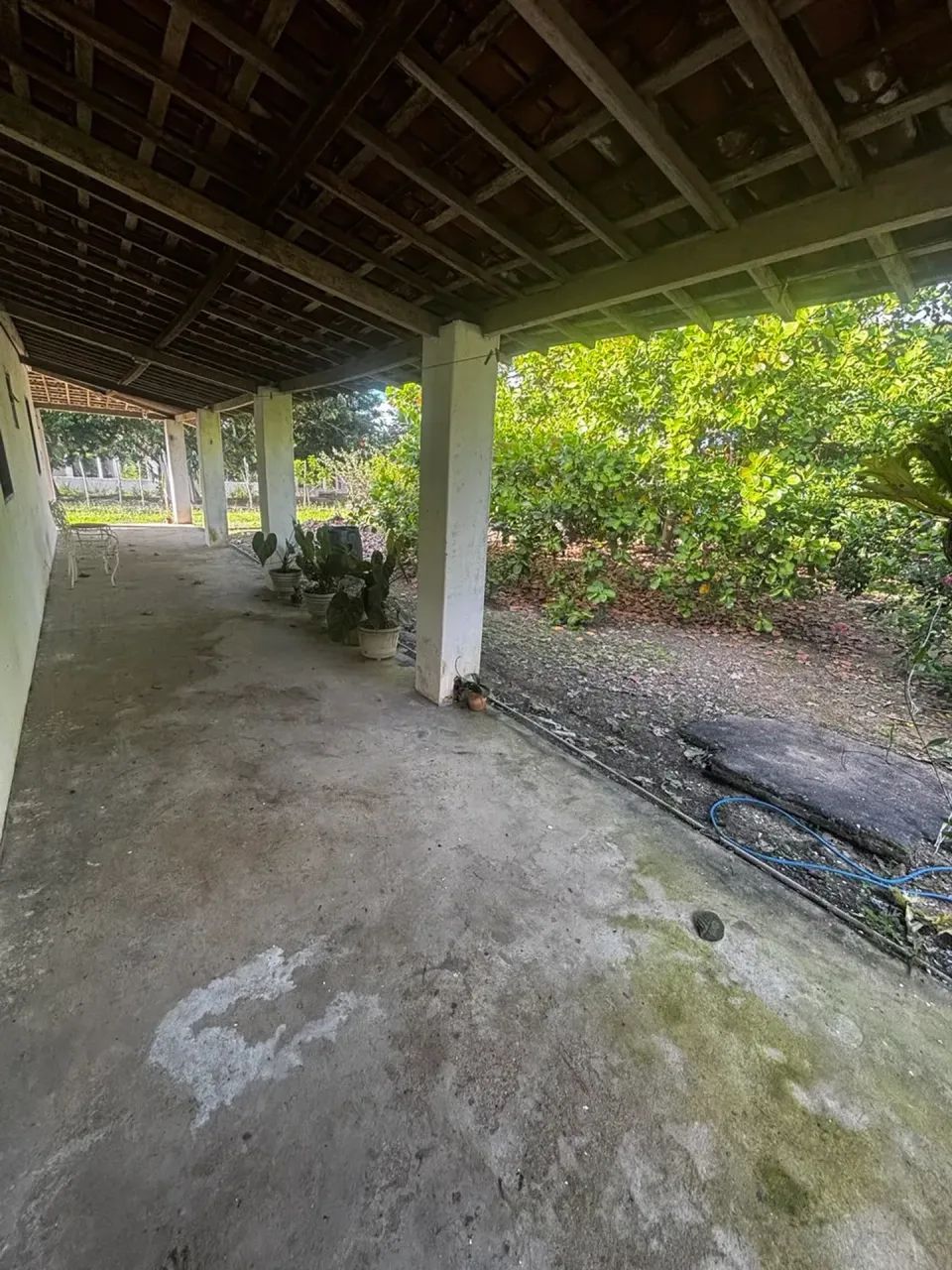 Lindo Sitio 30x50 em São Luis do Quitunde - Foto 3