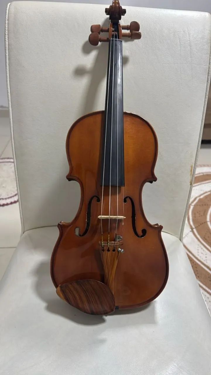 Instrumentos musical violino 4/4 Eagle  - Foto 2