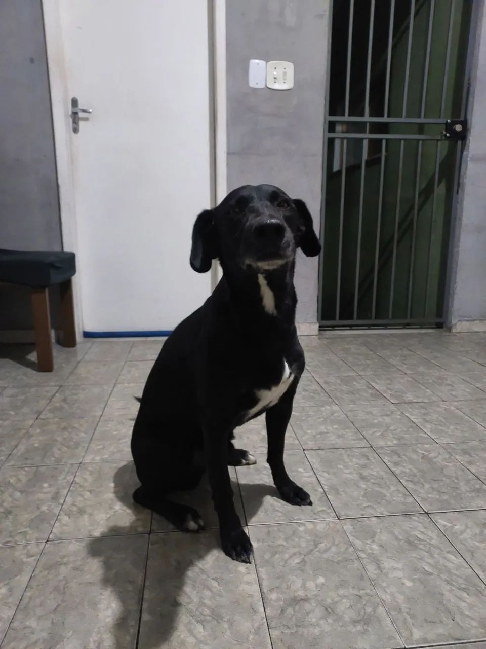 Doação - Foto 3