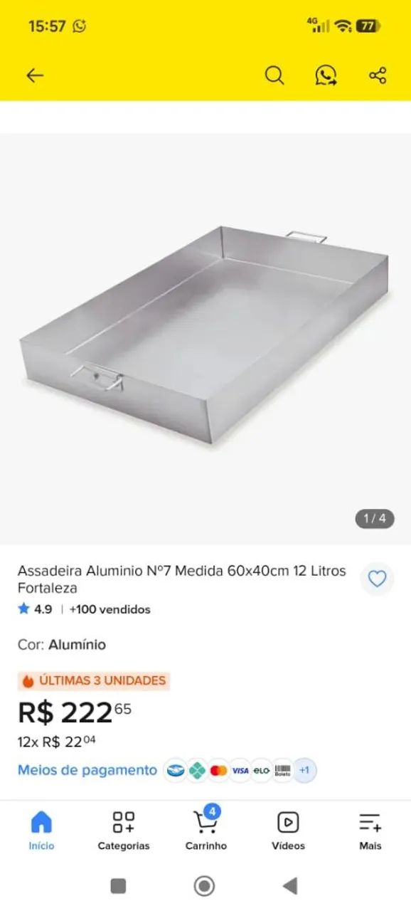Assadeiras Industriais 