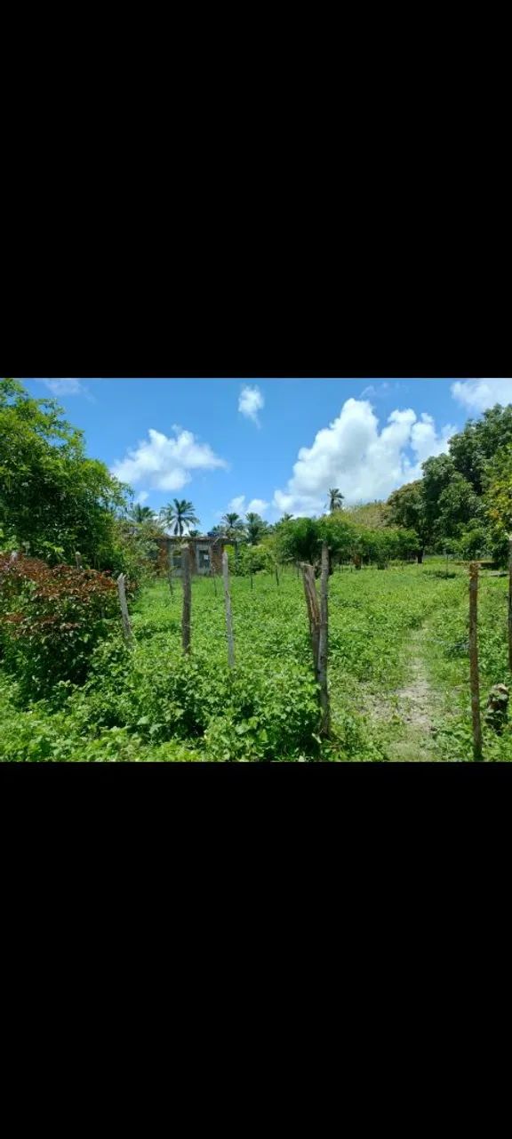 Terreno  - Foto 2