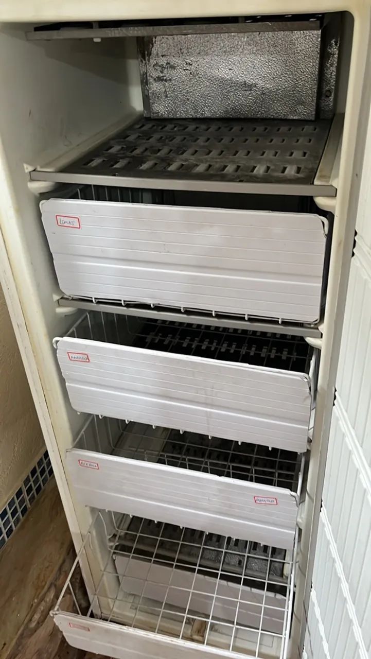 Frizer Electrolux 210 litros  - Foto 2