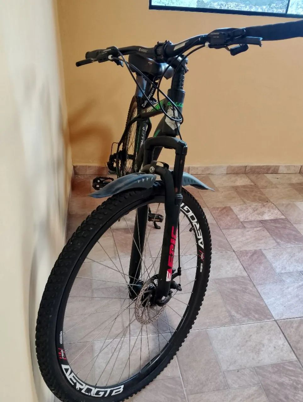 Bicicleta