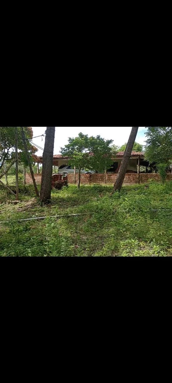 Venda 7 hectares  - Foto 3
