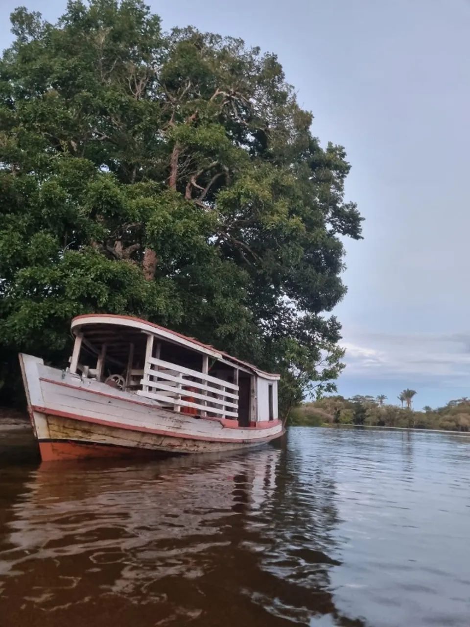 Barco Motor Yanmar 12 Hp 