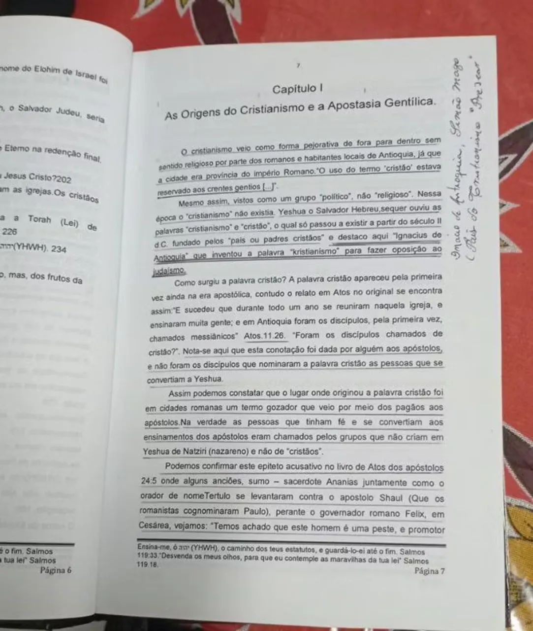 Livro cristianismo sofisma secular  - Foto 3