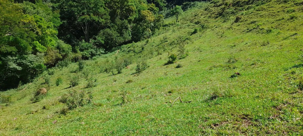 Terreno  - Foto 5
