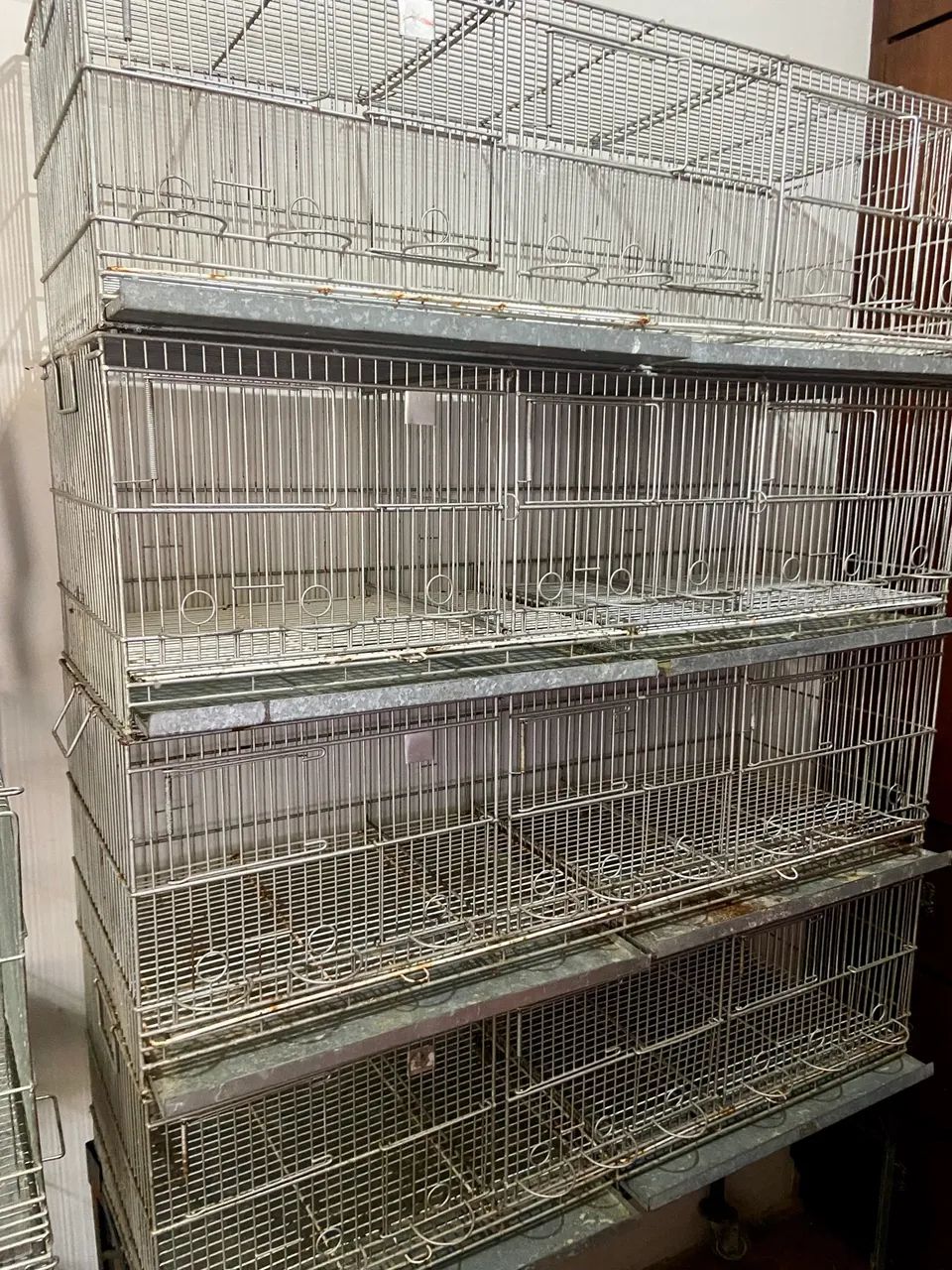 Gaiola criadeira bigamia  - Foto 3