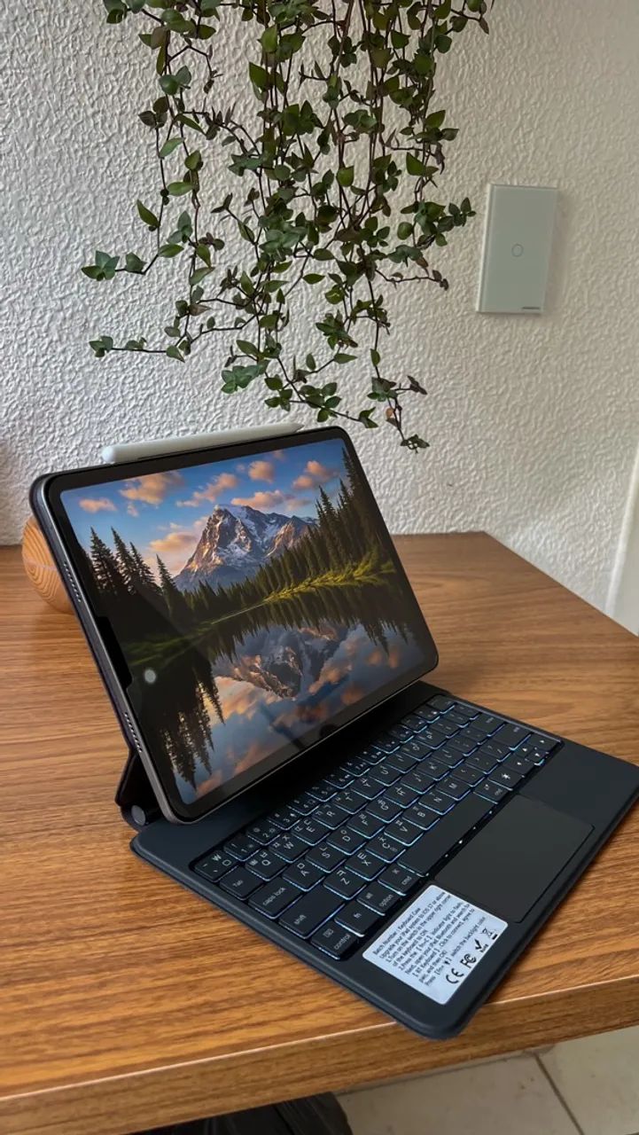 VENDO iPad Pro 11? - 4ª GERAÇÃO (M2)