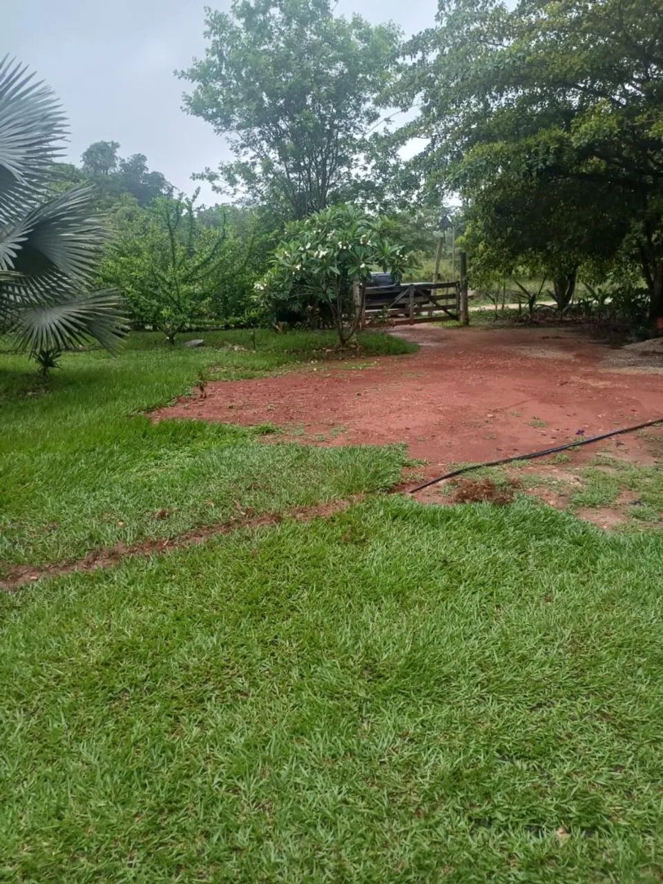 Chácara em eitorai  - Foto 4