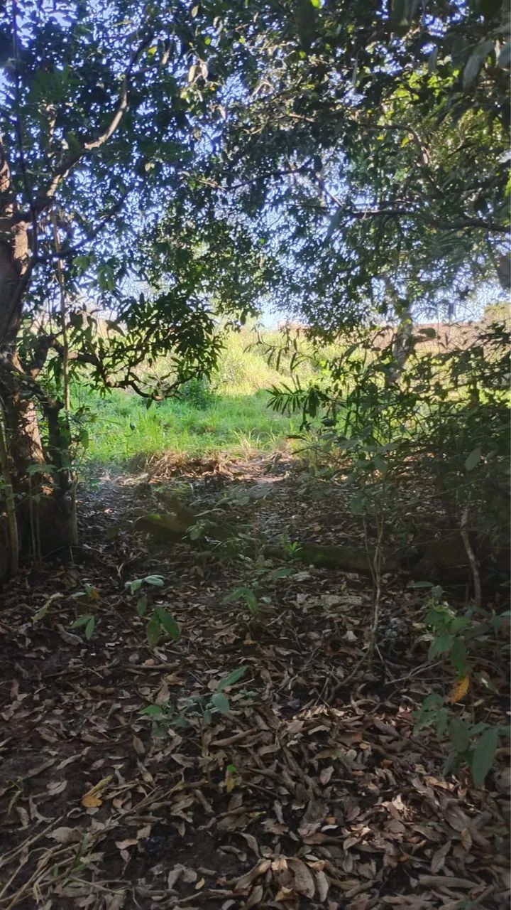 VENDE -SE CHÁCARA  - Foto 2