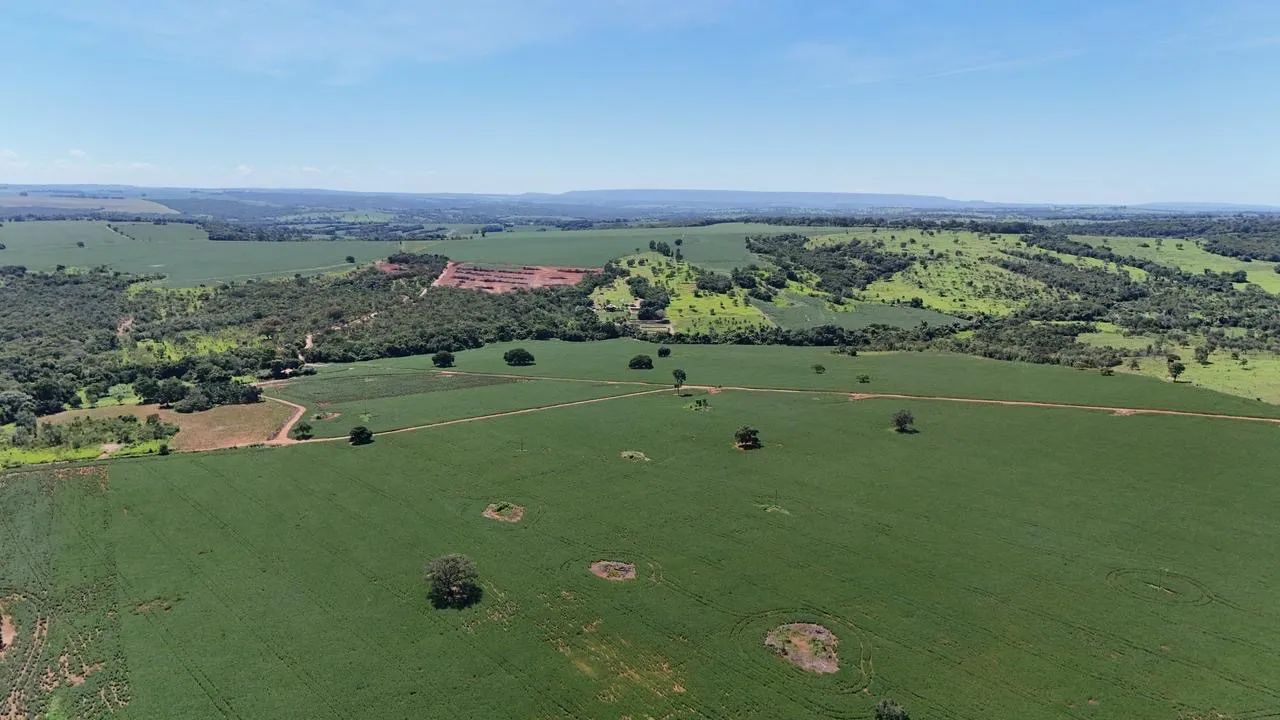 Fazenda em Morrinhos-go - Foto 5