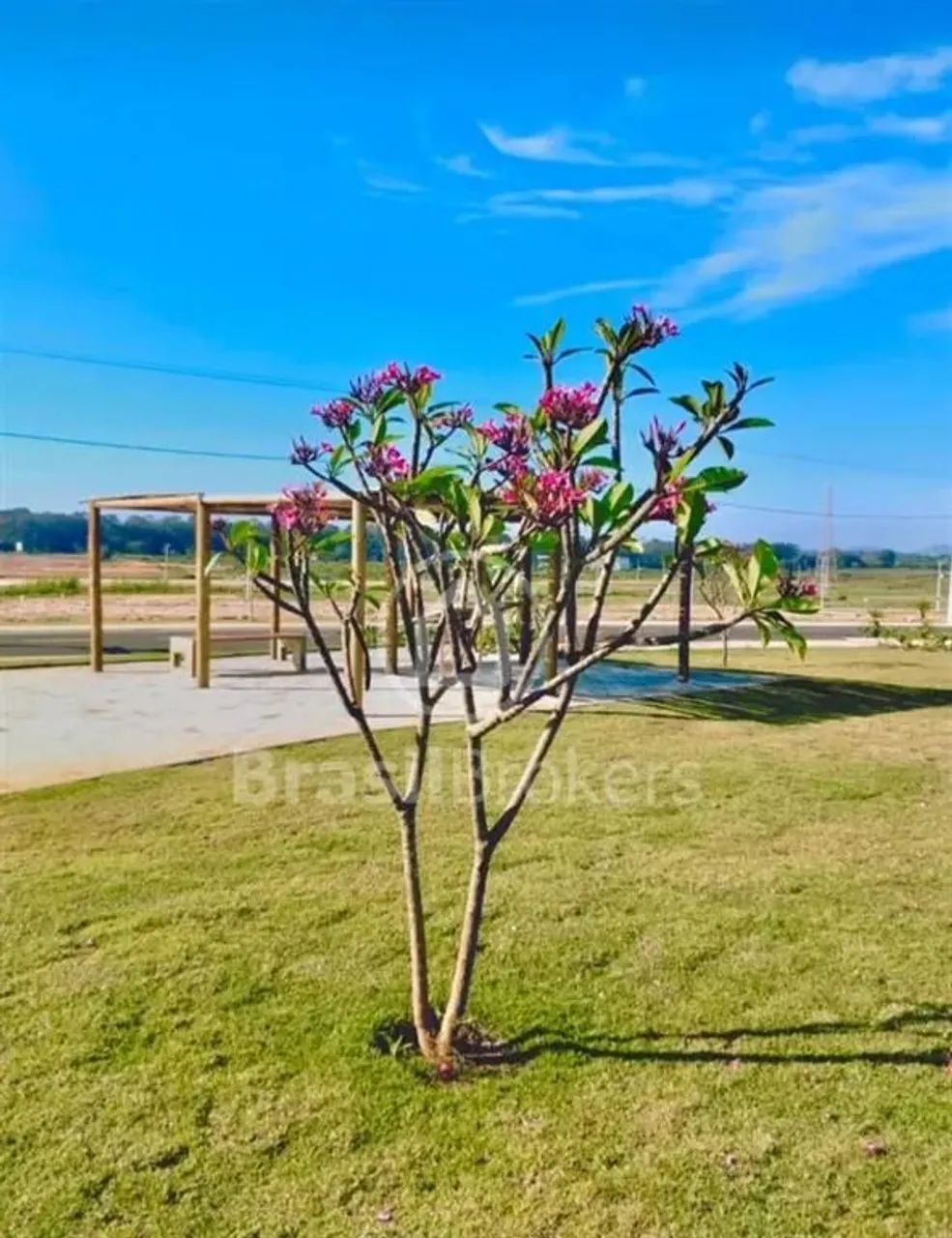 Terreno Armação dos Búzios! Com 420m² de área total, - Foto 5